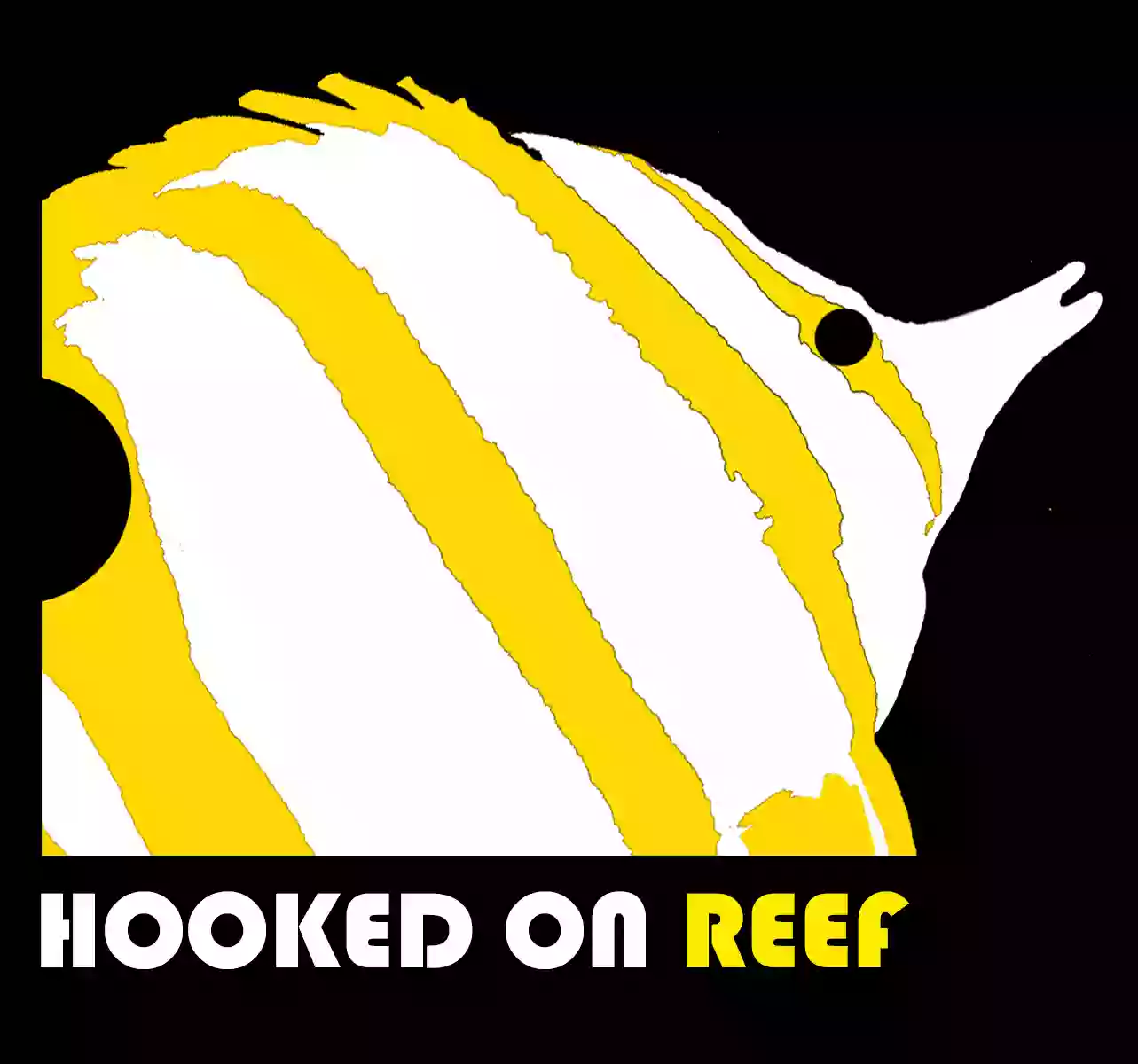 hookedonreef.es