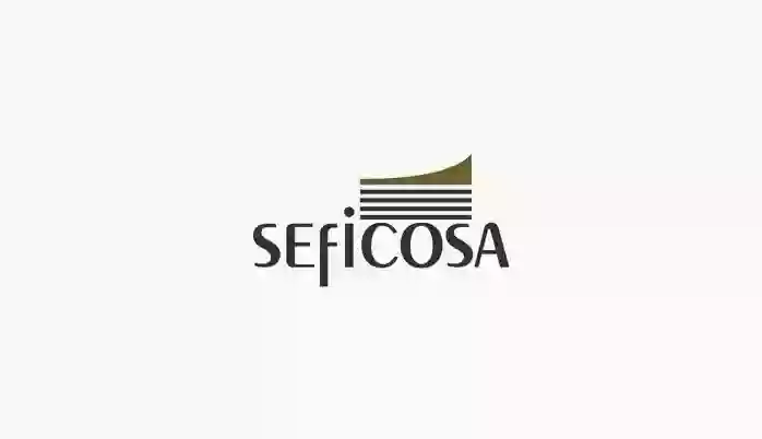 Seficosa S L