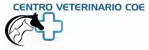 SIN SERVICIO DE URGENCIAS HASTA NUEVO AVISO - CLÍNICA VETERINARIA 920372282 / 667882073-CENTRO VETERINARIO COE