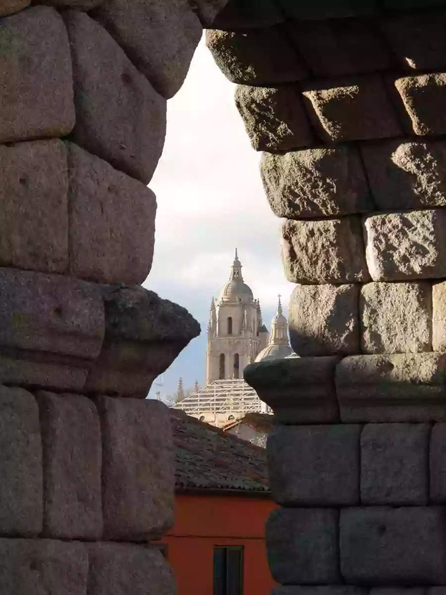 VISITAS GUIADAS EN SEGOVIA. Ana Gómez