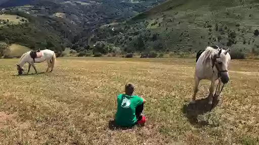 Al Paso rutas a caballo