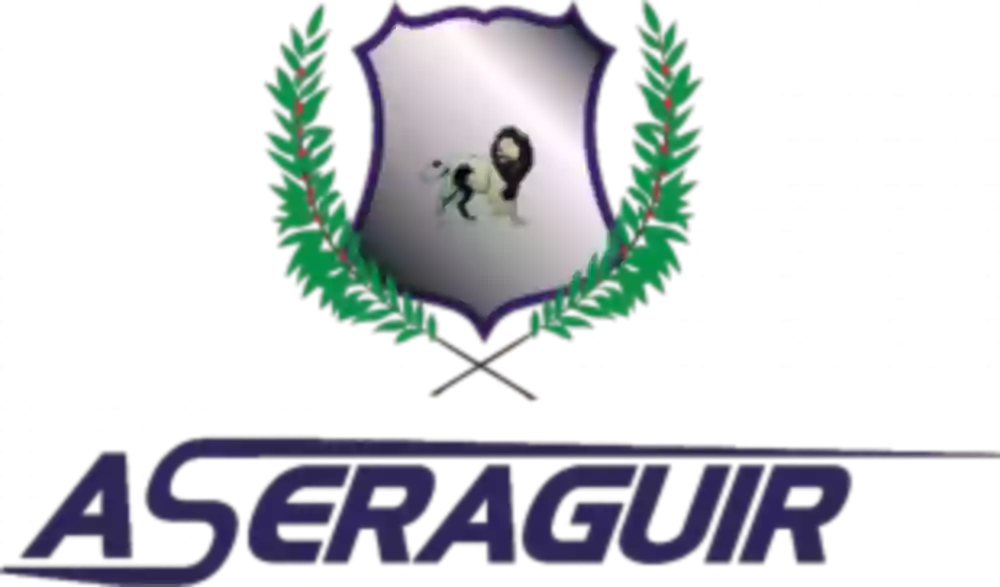 Aseraguir