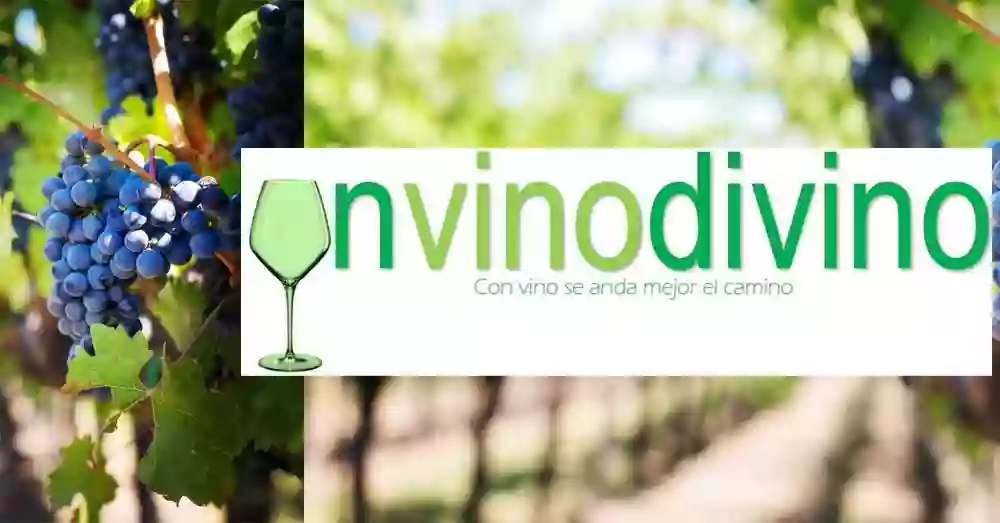 unvinodivino