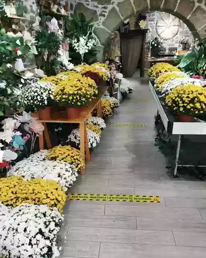 Floristería Béjar