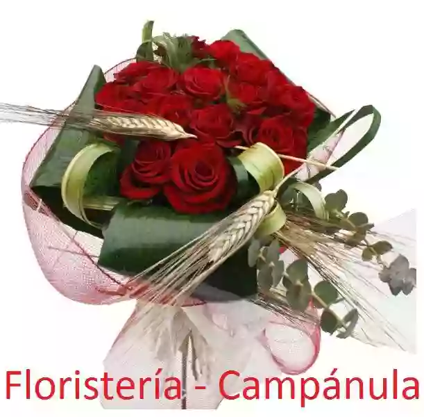 Campánula Floristería y Decoración