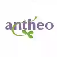 Antheo Psicólogos. Terapia Sistémica