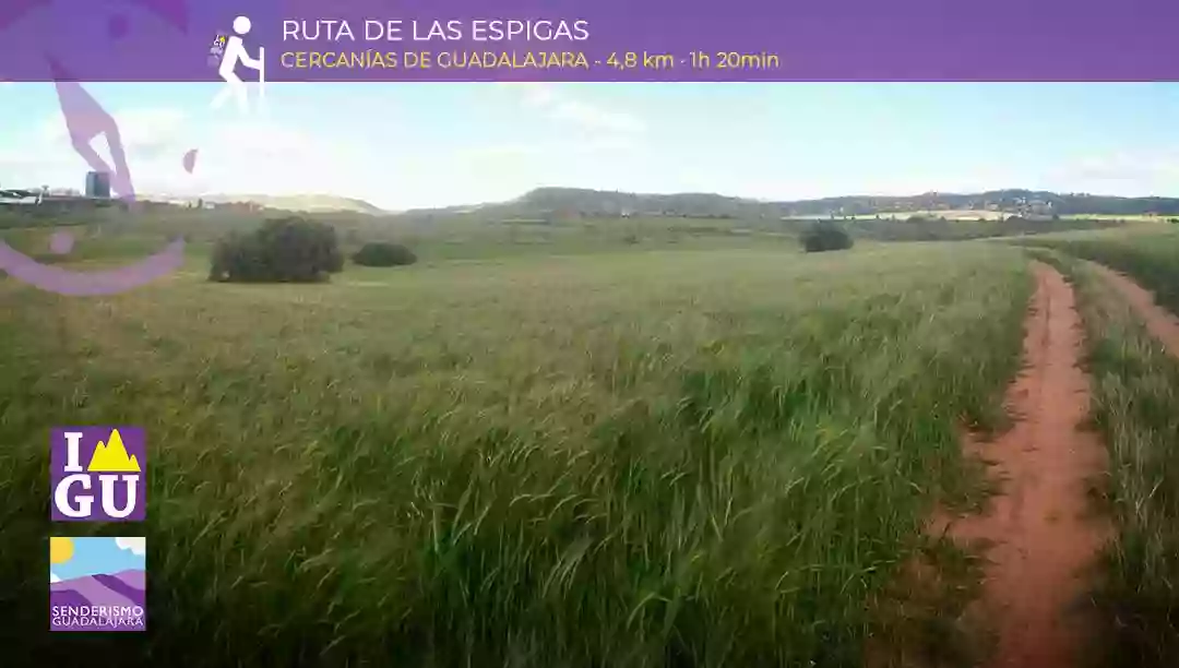 Inicio Ruta de las Espigas