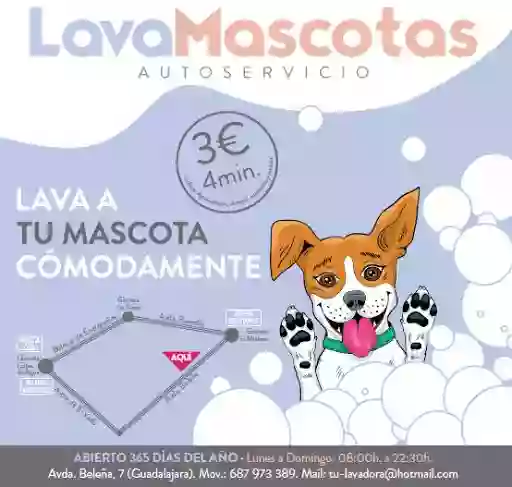 Lavamascotas Autoservicio Guadalajara