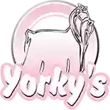 Yorky's