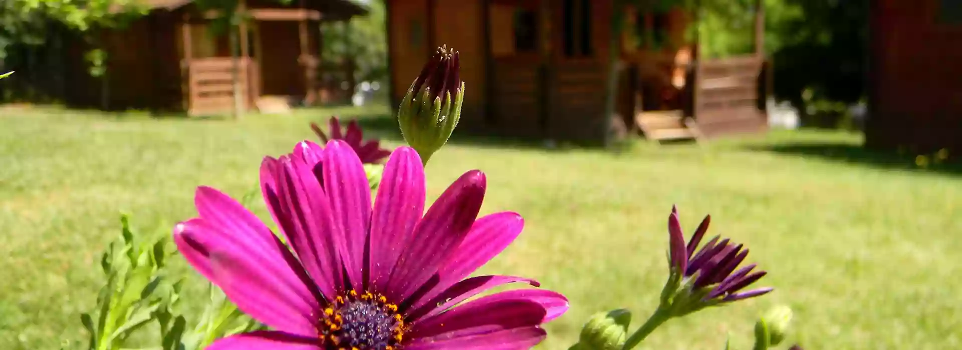 Càmping La Vall de Campmajor