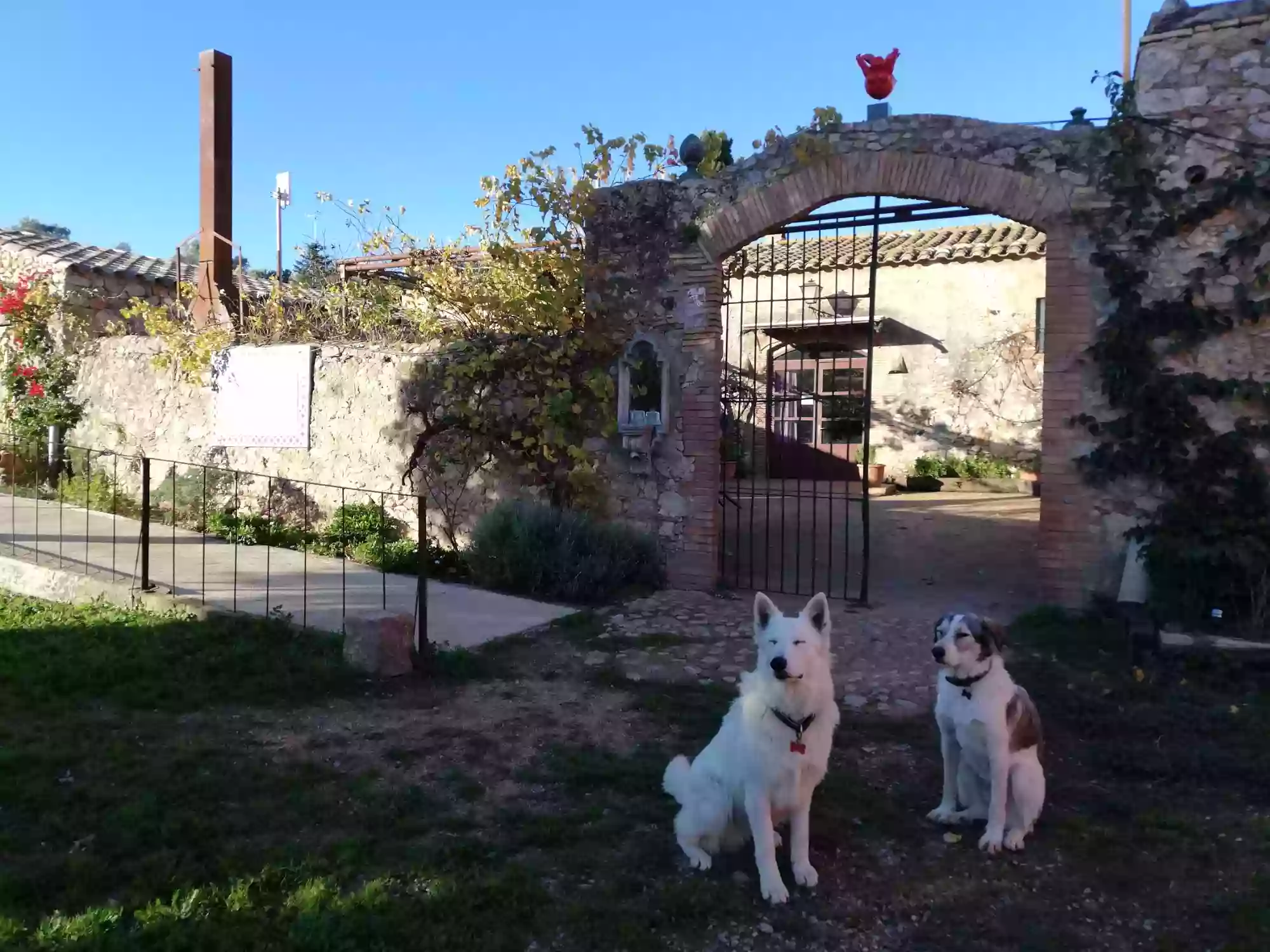 Mas del Llop Blanc - Dogfriendly B&B