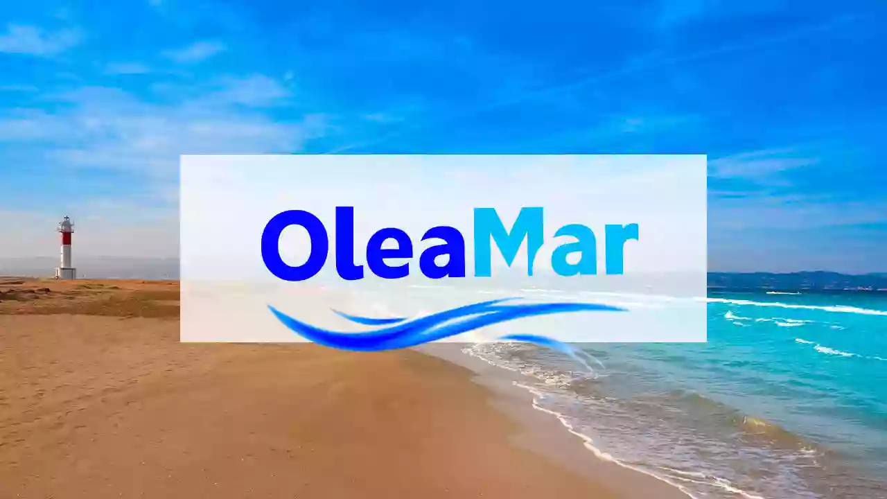 Olea Mar Inmobiliaría