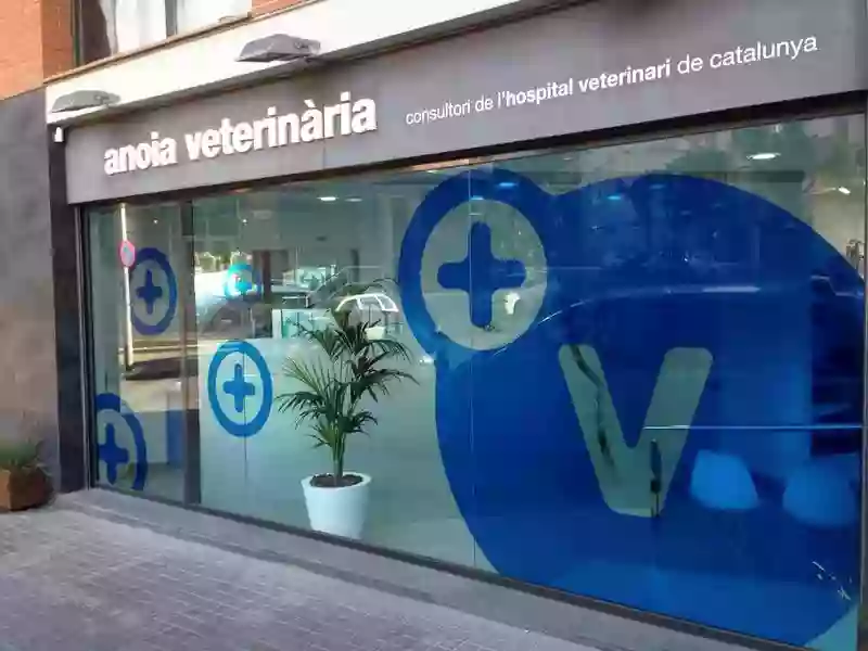 HVC Igualada