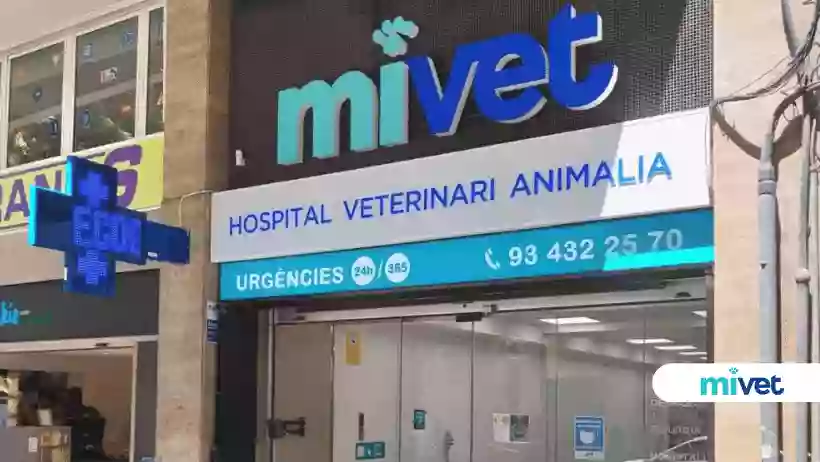 Hospital Veterinario MiVet Animalia