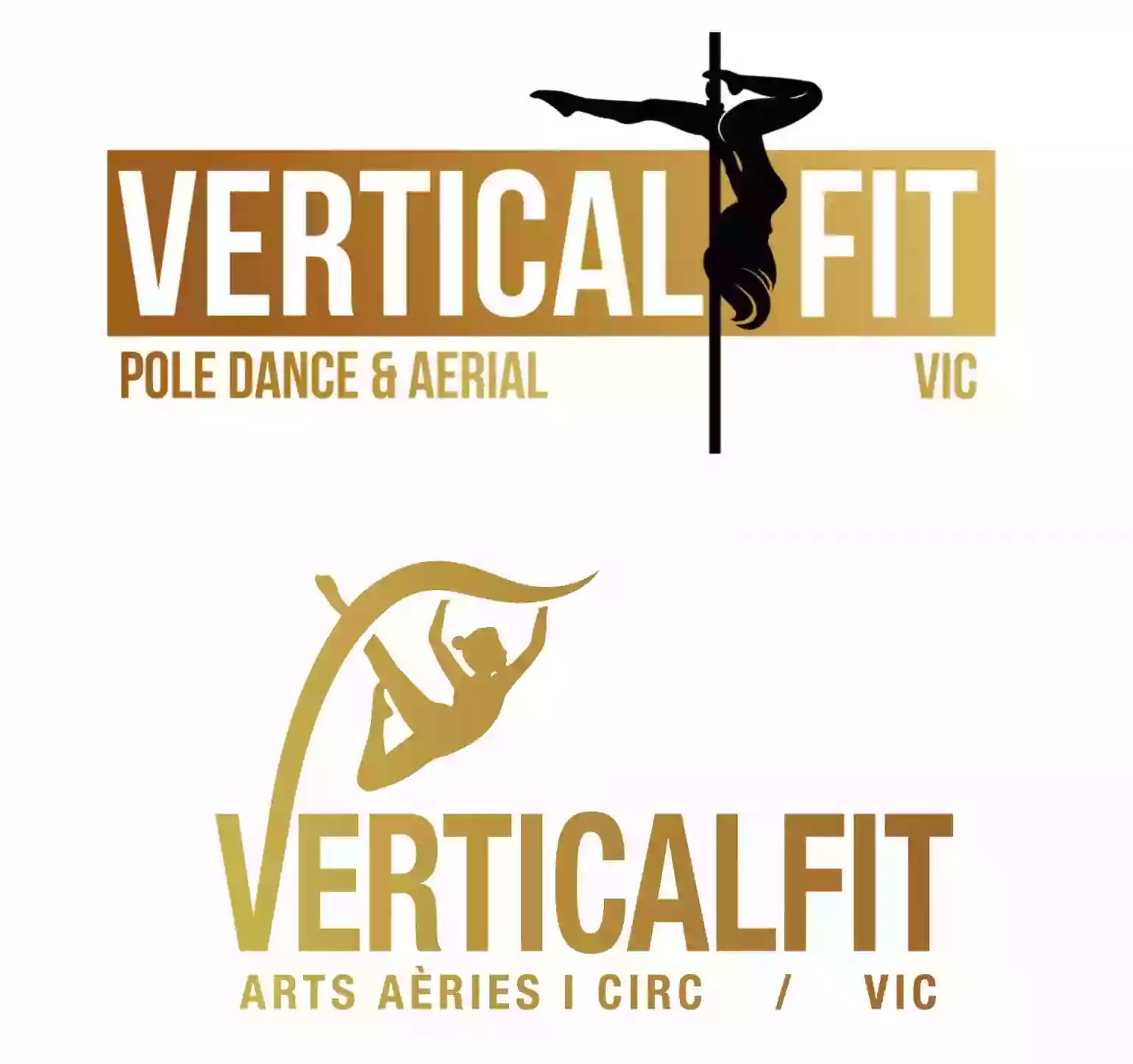 Verticalfit Vic - Escoleta de Circ infantil, Poledance i Arts aèries.