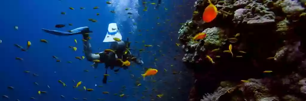 Plataforma del Buceo - Viajes de Buceo