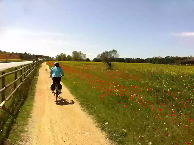 Creative Catalonia - Bike and Walking Holidays S.L