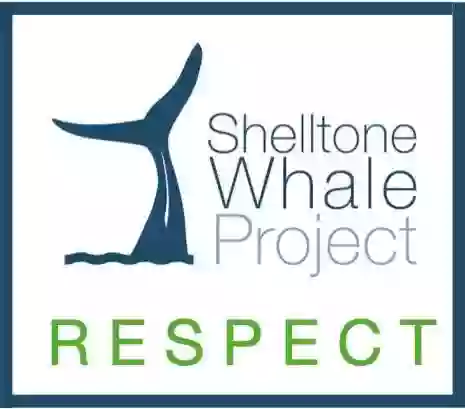 Shelltone Whale Project - Whales Watching Cadaquès