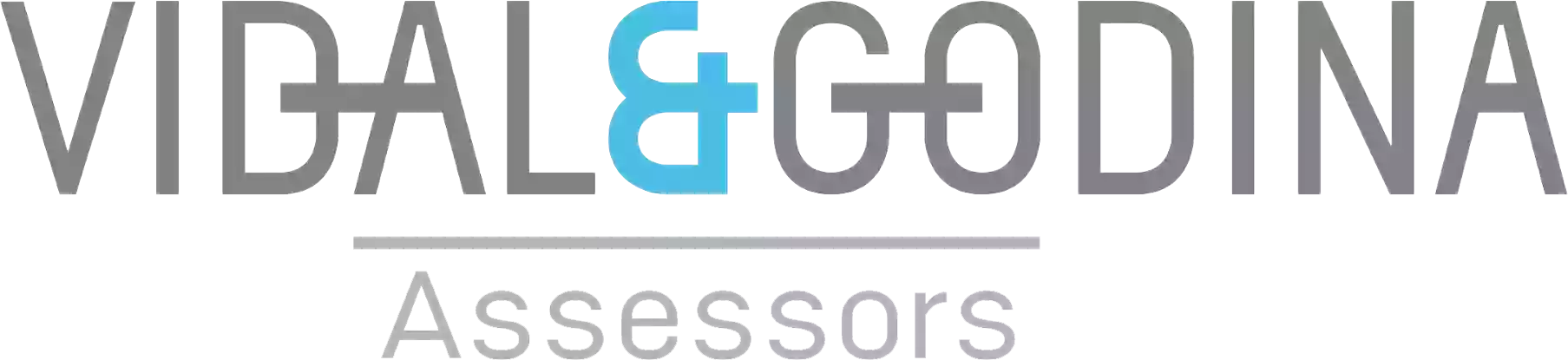 VG Assessors