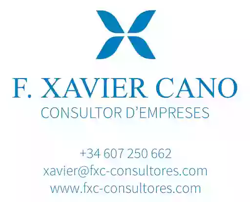 F.XAVIER CANO Assessoria Consultoria de empresas