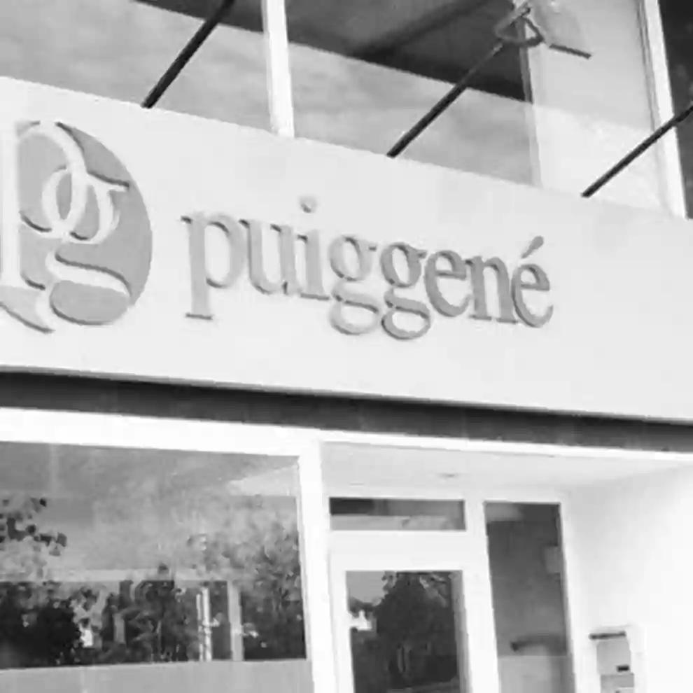 Puiggené Assessors