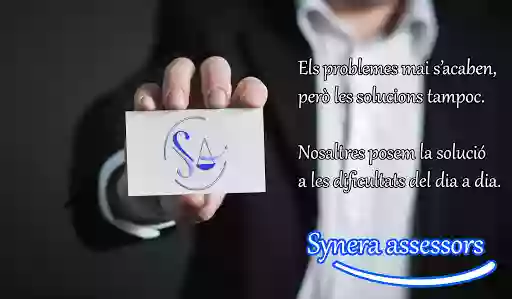 Synera Assessors