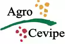 CEVIPE Bellvei, Centre Vinícola del Penedès SCCL