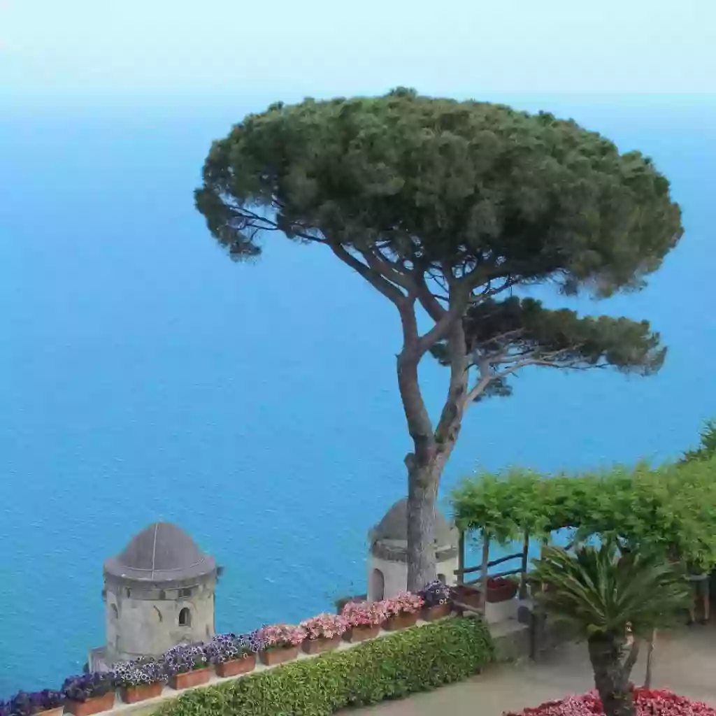 La Jardineria del Gironès