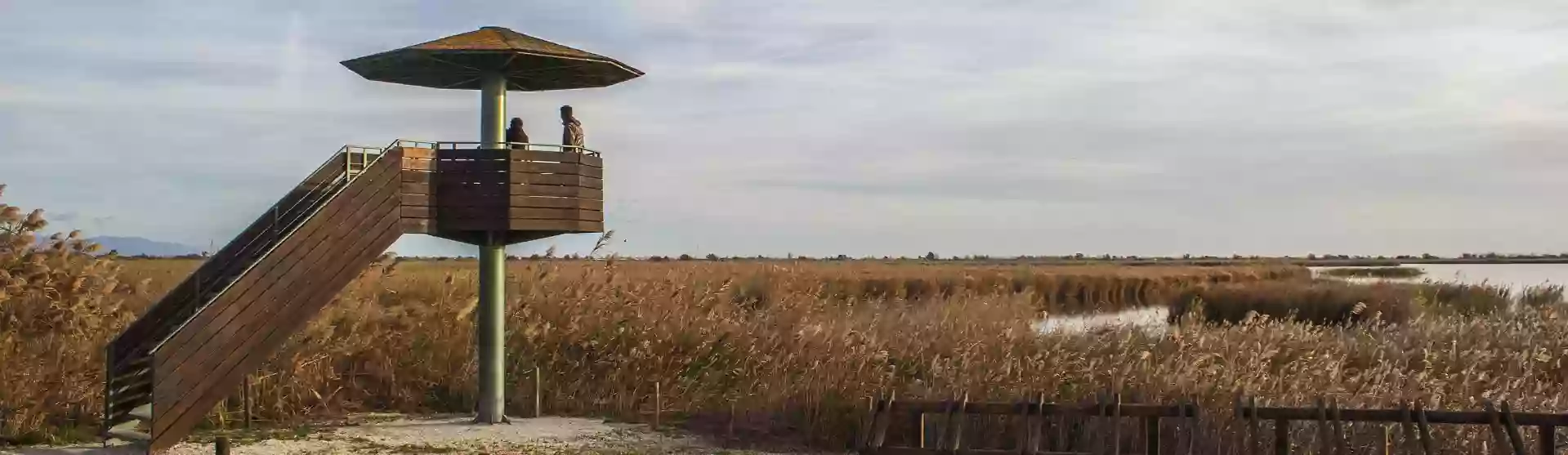 Parque Natural del Delta del Ebro