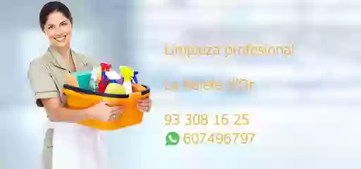 La Baieta D'Or Servicios de Limpieza