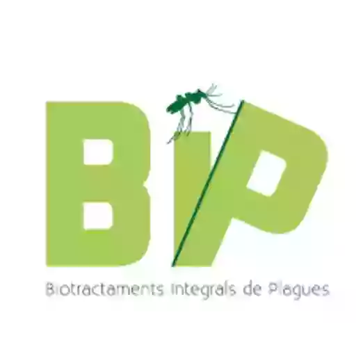 BIP Giroplagues