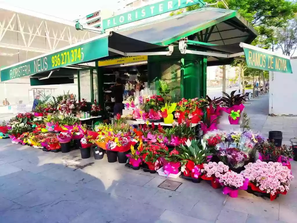 Floristeria Neus