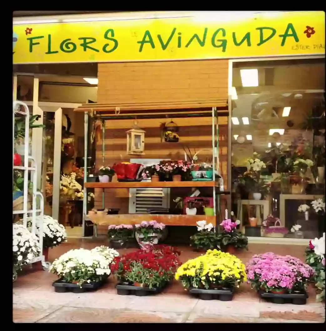 Flors Avinguda