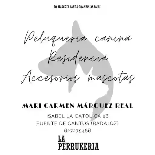 La perrukeria|M.Carmen Márquez, Estilista Canina