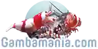 gambamania.com