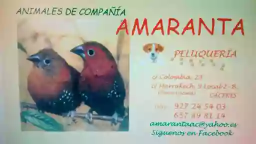 Amaranta Animales de compañía