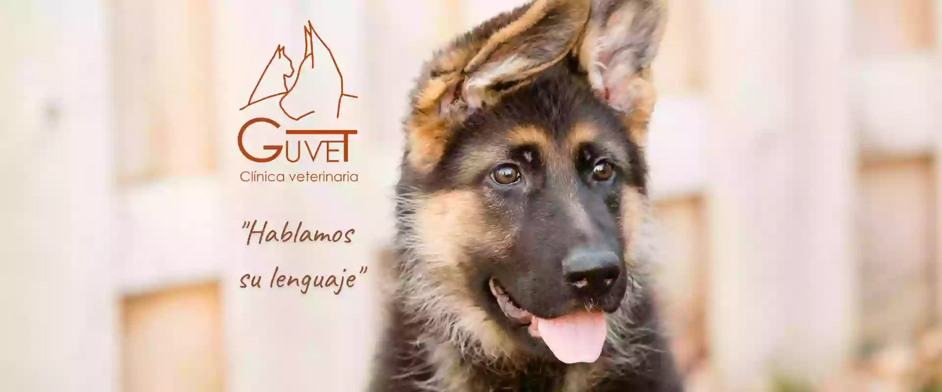 Clínica Veterinaria Guvet