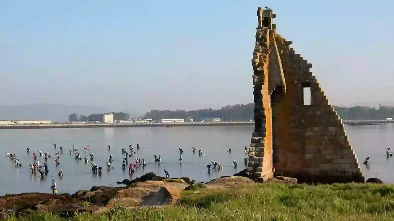 Pescaturismo Cambados