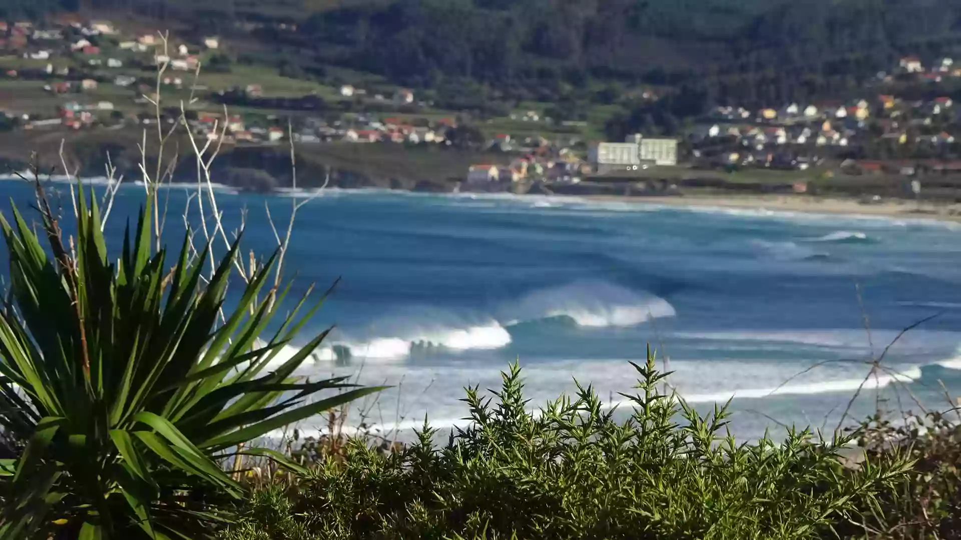 Layback Surfcamp