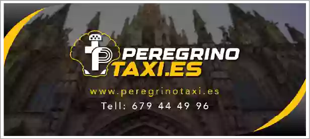 PeregrinoTaxi, Santiago to Sarria, Santiago a Madrid (Emilio Díaz Peláez)