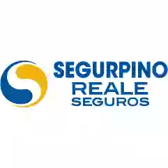 Reale Seguros Ponteareas - Segurpino