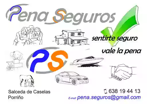 Pena Seguros