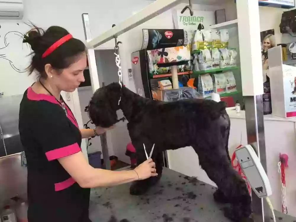 STRELLA Peluquería Canina