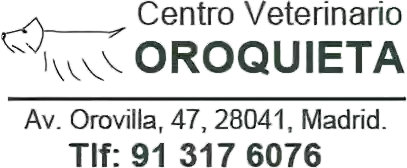 Centro Veterinario