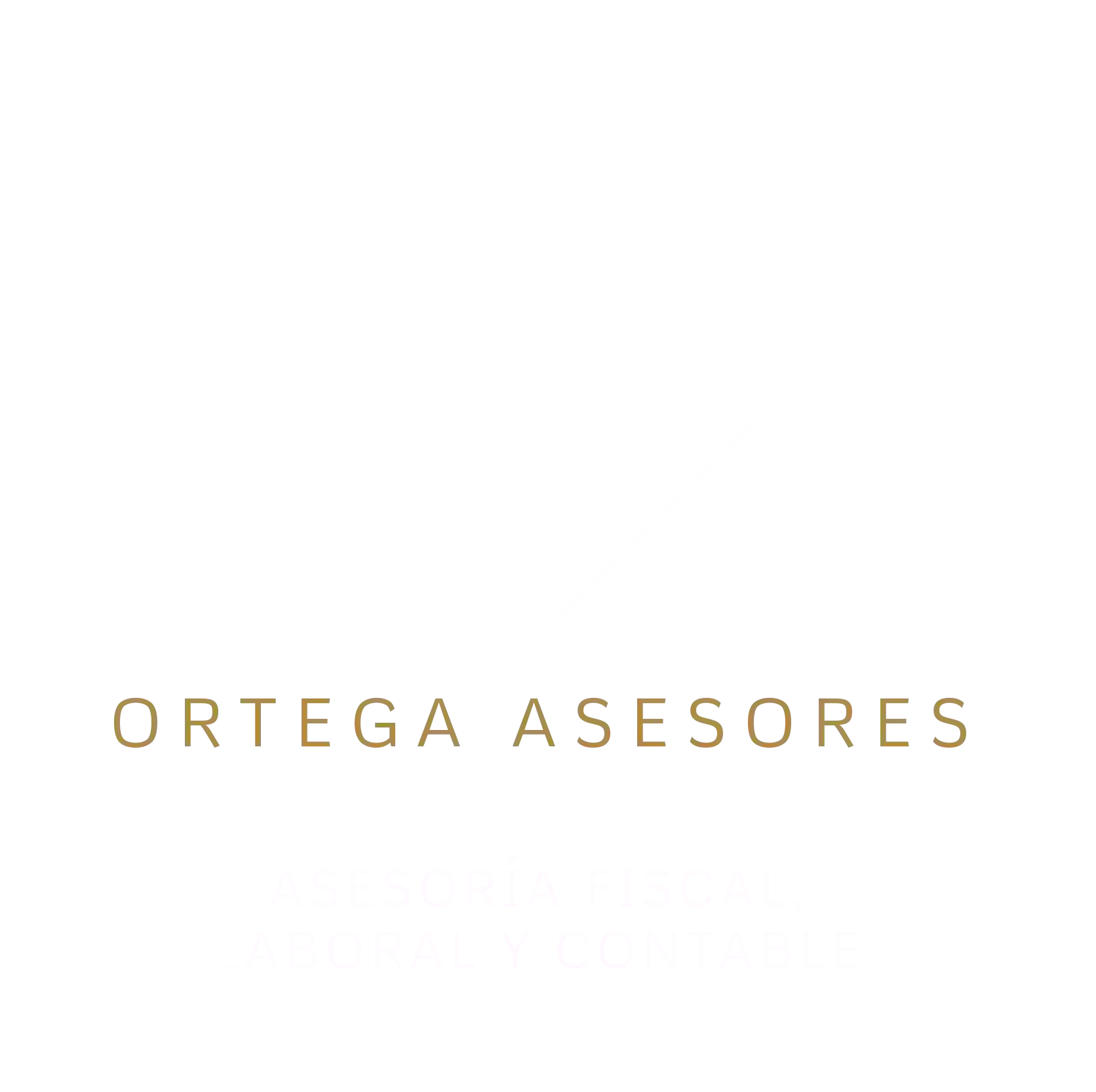 Ortega Asesoria Fiscal