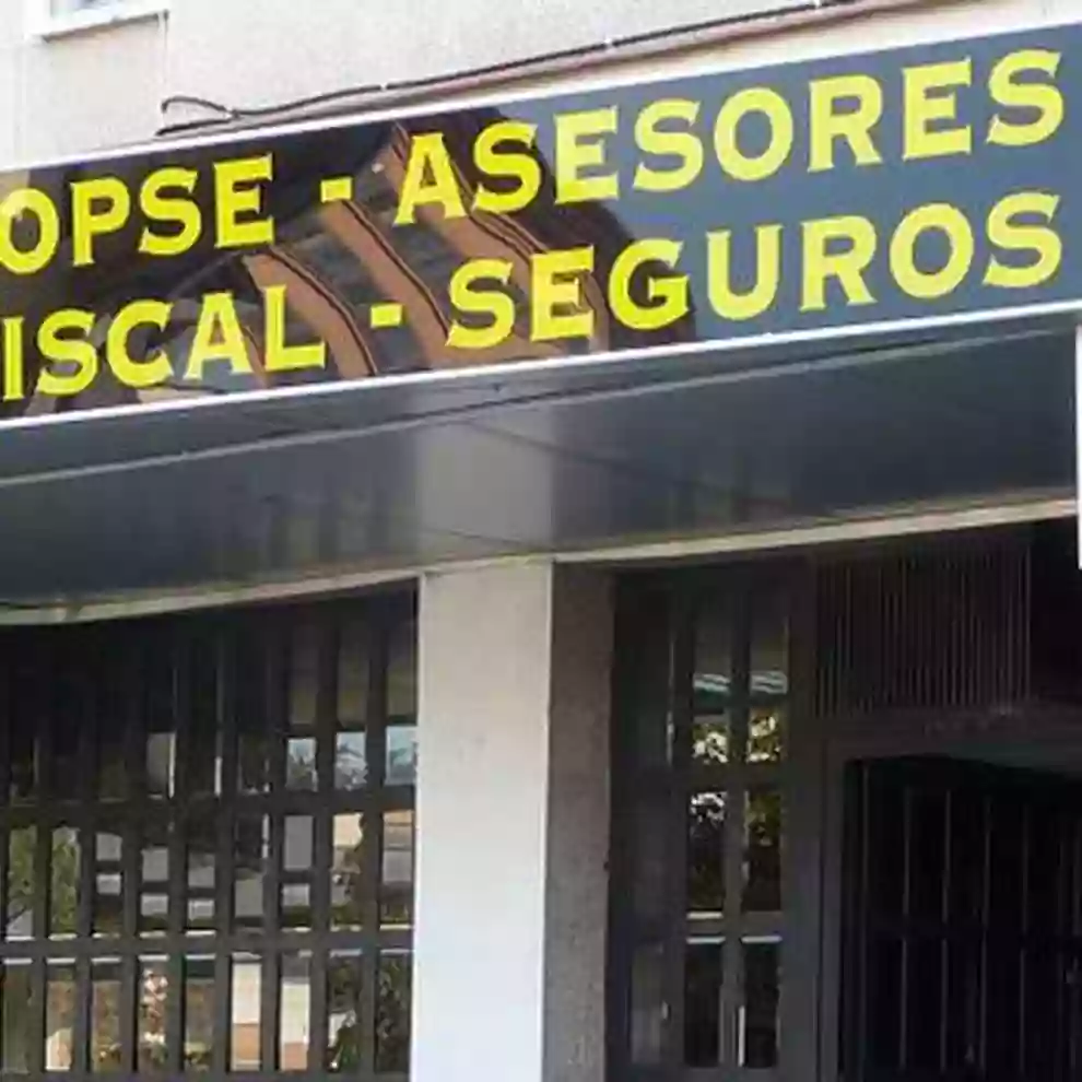 LOPSE ASESORES