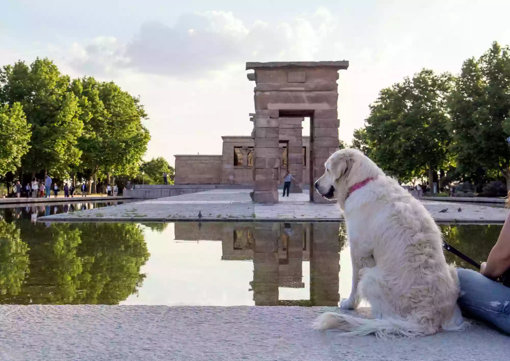 Parque canino