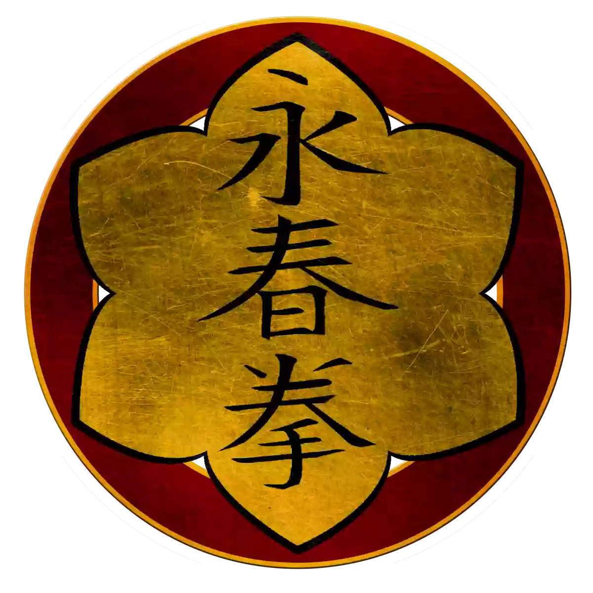 Chao Yue Kung fu - Artes Marciales y defensa personal