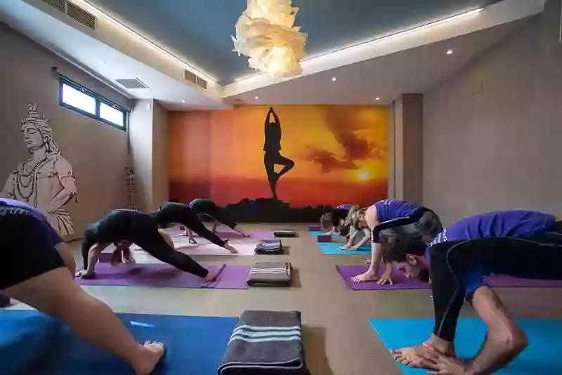 Escuela de Yoga Chary Lozano