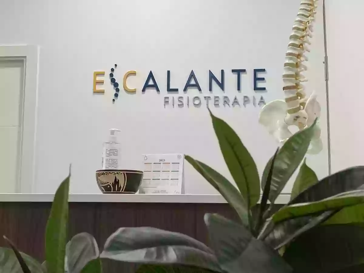 Fisioterapia Escalante El Cañaveral